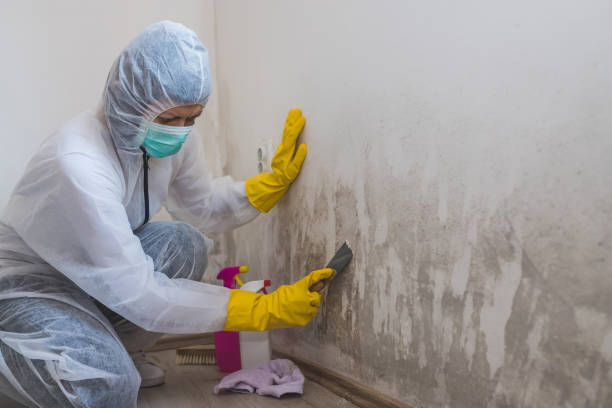 Best Crawl Space Mold Removal  in Ballston Spa, NY