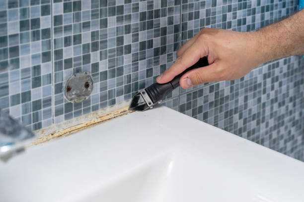 Best Mold Removal Process  in Ballston Spa, NY