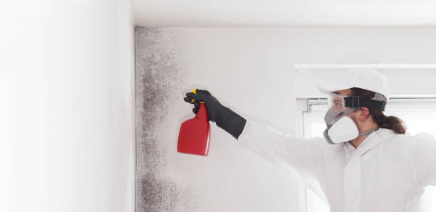 Certified Mold Removal in Ballston Spa, NY